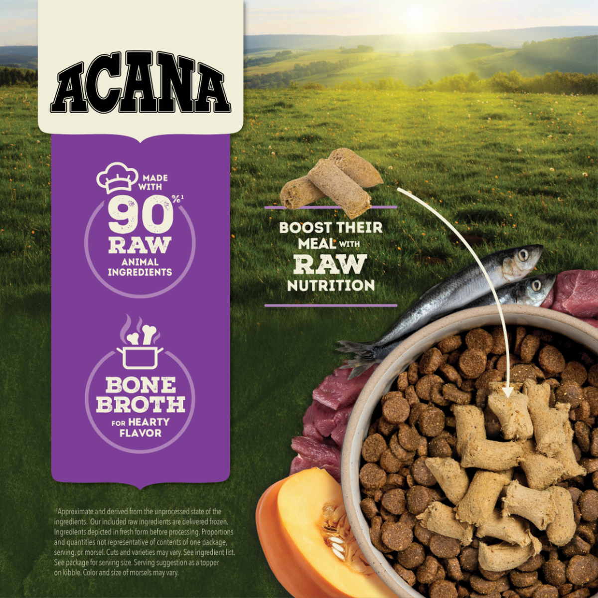 Acana raw dog food cheap